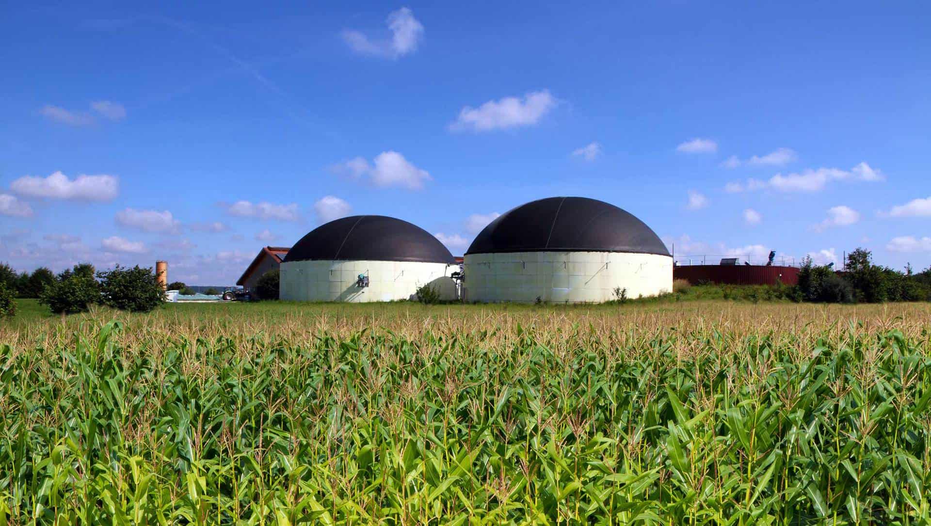 Energie aus Biomasse – Warum Sie noch 2018 in ein Blockheizkraftwerk investieren sollten