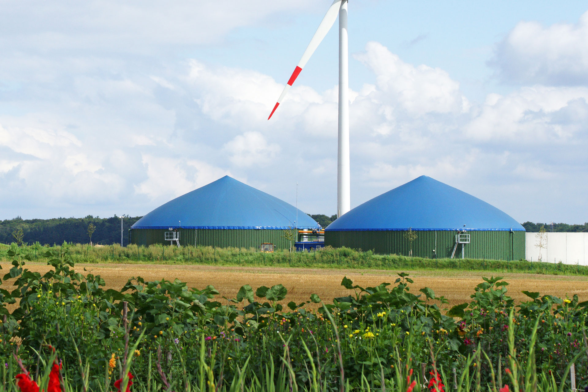 energien der zukunft - Biogas und Windenergie